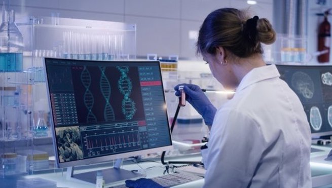 Investigación