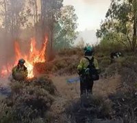 Un centenar de efectivos por tierra y medios aéreos combaten el incendio forestal de Niebla (Huelva)