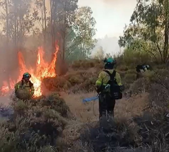 Imagen del incendio forestal en Niebla.