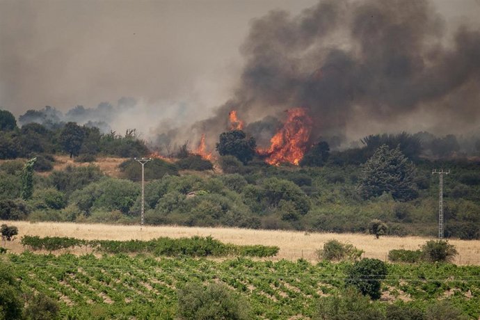 Vista del incendio forestal, a 25 de julio de 2026, en San Martín de Valdeiglesias, Madrid (España). 