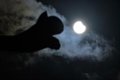 Los mejores puntos para observar el eclipse solar total del próximo 12 de agosto