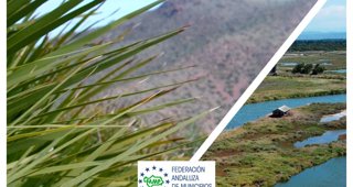 Federación Andaluza de Municipios y Provincias