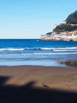 Archivo - Playa