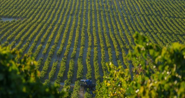 EpAgro - Agricultura