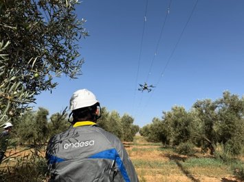 Drones para la protección de avifauna: Endesa impulsa en Fuente de Piedra un innovador proyecto piloto en sus líneas de media tensión