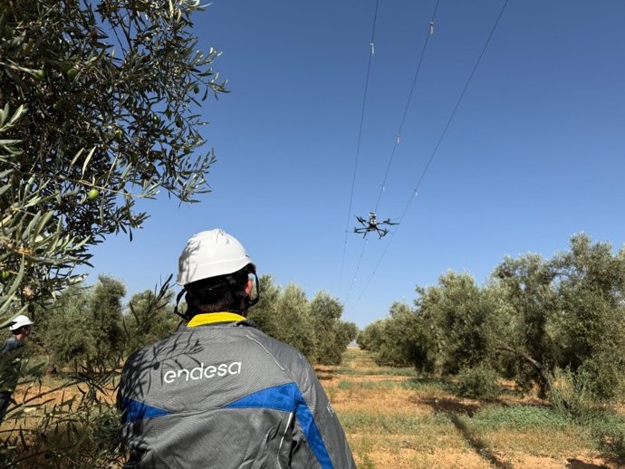 Drones para la protección de avifauna: Endesa impulsa en Fuente de Piedra un innovador proyecto piloto en sus líneas de media tensión