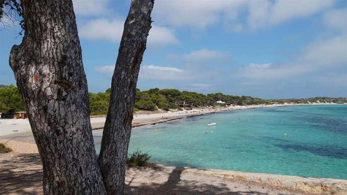 Archivo - Parque Natural de Ses Salines de Ibiza y Formentera