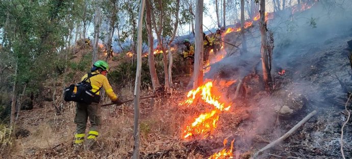 Miembros del Infoca trabajan en la extinción del incendio forestal de Niebla.