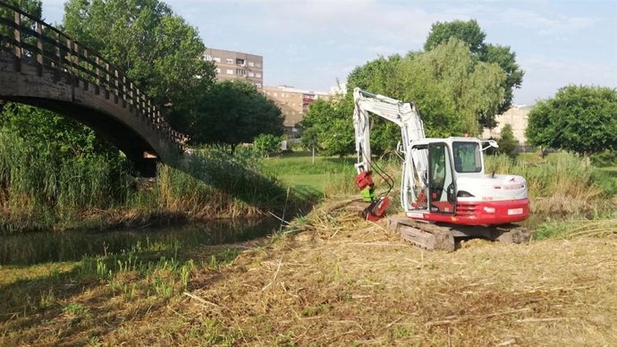 Un proyecto busca reducir el riesgo de inundación en el río Túria tras la dana y generar empleo 'verde'