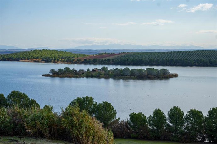 Archivo - Balsa de Don Melendo en Lebrija.