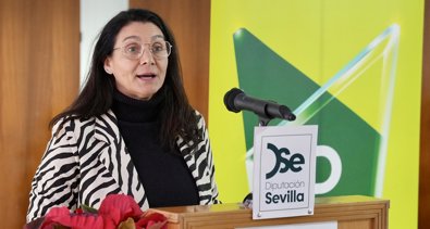 Diputación de Sevilla