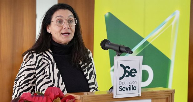 Diputación de Sevilla