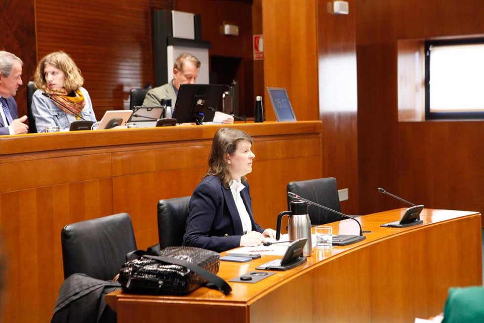 Archivo - La directora general de Gestión Forestal, Ana Oliván.