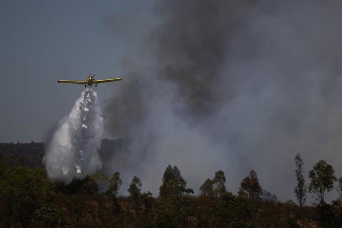 Una aeronave del Infoca combate el incendio forestal declarado en la localidad onubense de Niebla. 