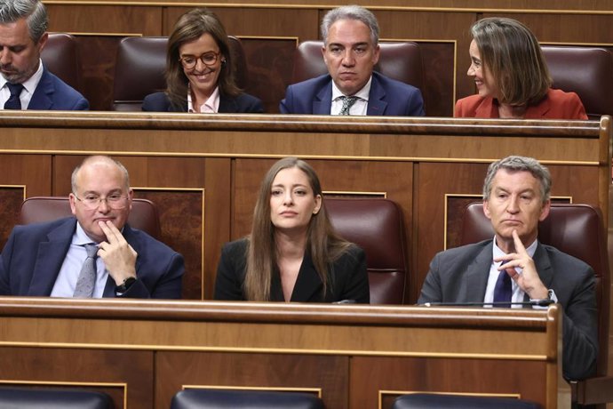 Archivo - El secretario general del PP, Miguel Tellado, la portavoz del PP en el Congreso, Ester Muñoz y el presidente del PP, Alberto Núñez Feijóo, durante una sesión plenaria en el Congreso.