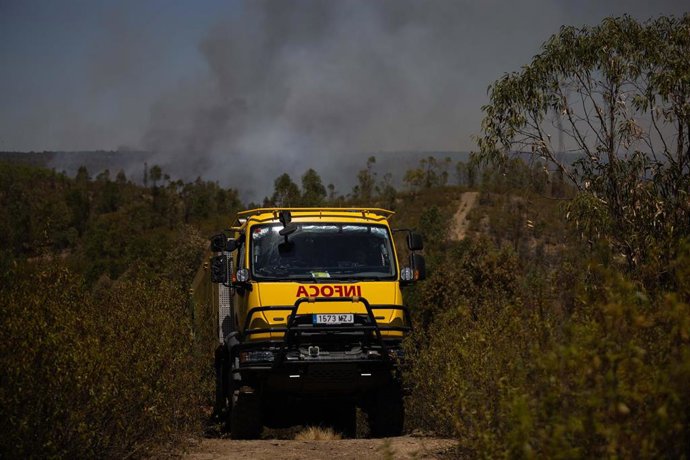 Efectivos del Infoca combaten el incendio forestal declarado en la localidad onubense de Niebla. 