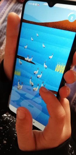 La organización SEO/BirdLife presenta las aplicaciones móviles gratuitas 'Avefy' y 'Avizor'