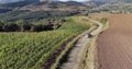 Viñedos de Manzanares, Villaverde y Torrecilla participan en un proyecto para hacer frente al cambio climático