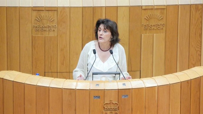 La portavoz de Montes e Industrias Forestais del BNG en el Parlamento, Montse Valcárcel