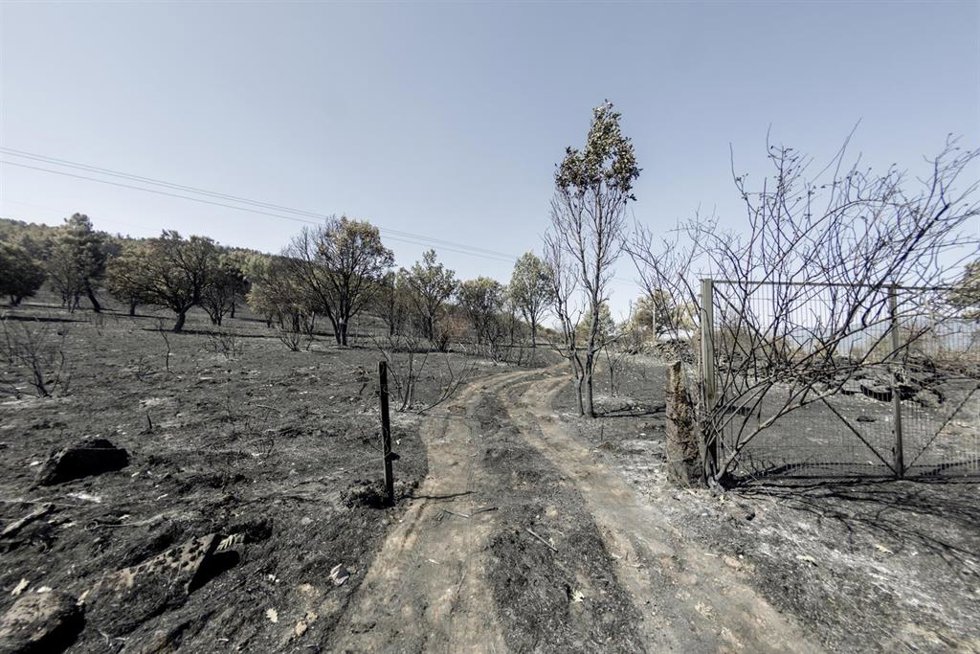 Una de las zonas quemadas por el fuego en Lozoyuela