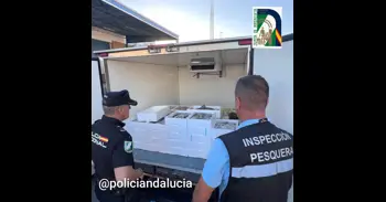 La Policía Adscrita y la Inspección Pesquera de la Junta de Andalucía incautan 264 kilos de pescado inmaduro