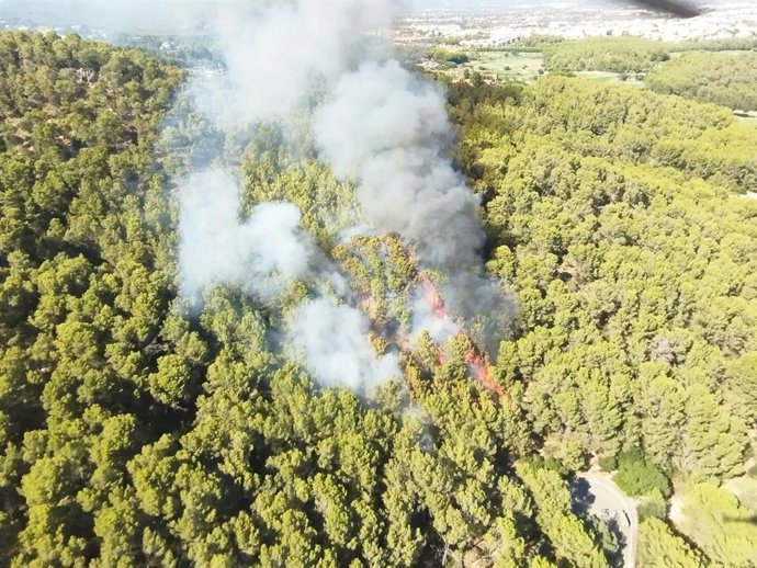 Declarado un incendio forestal en el Puig de Son Muntaner, cerca de Palma.