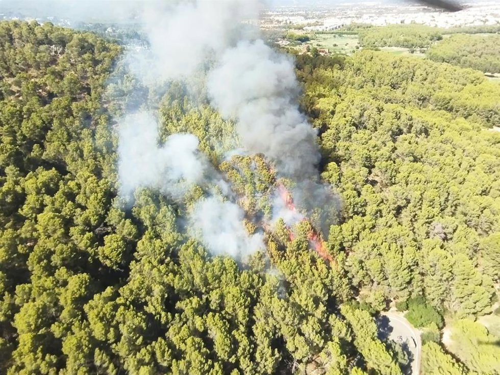 Declarado un incendio forestal en el Puig de Son Muntaner, cerca de Palma.