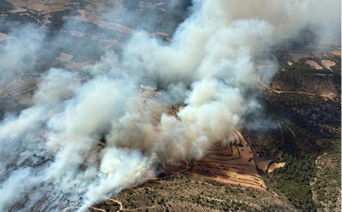 Incendio forestal en la zona del Cortijo de Jabanas,