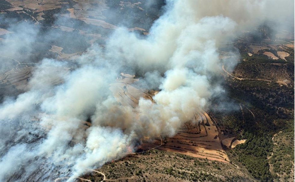 Incendio forestal en la zona del Cortijo de Jabanas,