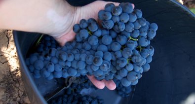 La Rioja