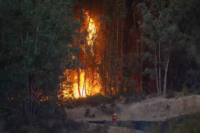 El incendio de Niebla (Huelva) continúa activo con más de 4.000 hectáreas afectadas. A 8 de agosto de 2026 en Niebla (Huelva, Andalucía, España). 