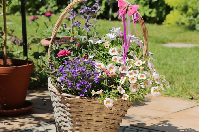 Cómo cuidar de tu jardín en agosto: las claves para que no mueran tus plantas durante las olas de calor