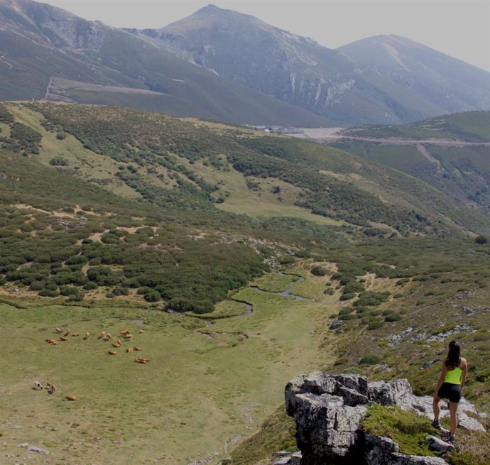 Archivo - Imagen de archivo de Alto Campoo.-ARCHIVO