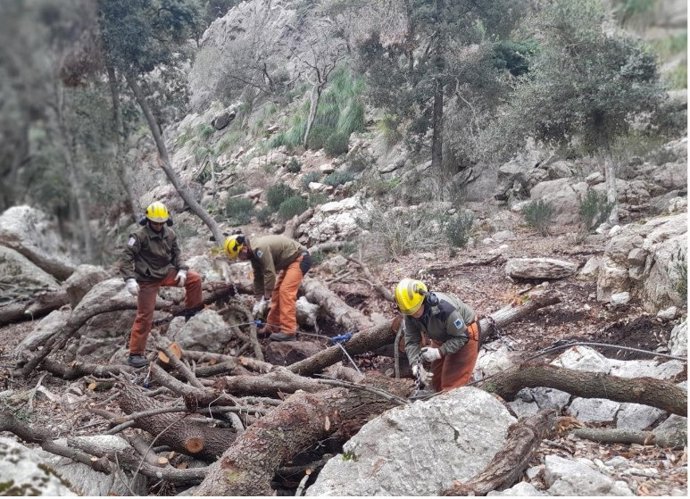 El Govern inyecta un millón de euros al Ibanat para reforzar la prevención contra los incendios.