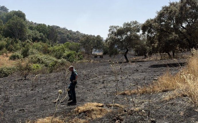 Un agente de la Guardia Civil en un incendio forestal.