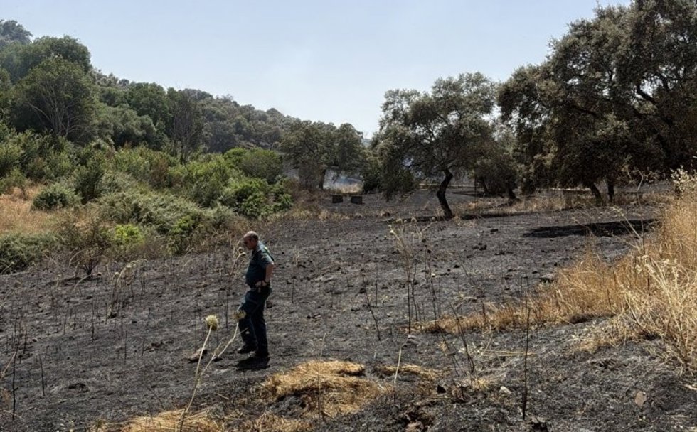 Un agente de la Guardia Civil en un incendio forestal.