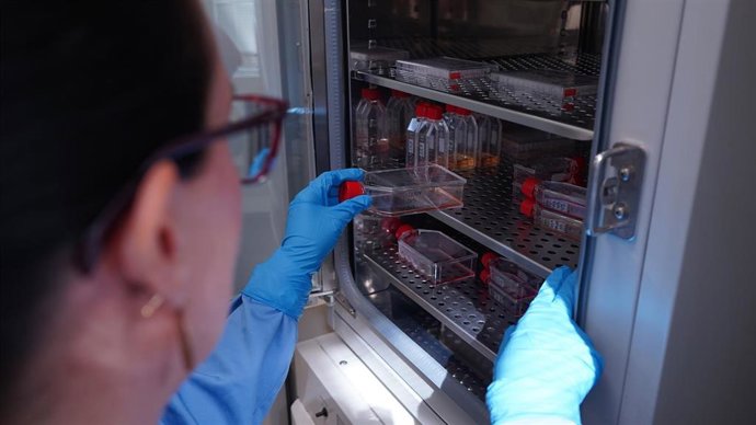 Archivo - Imagen del estudio para frenar el VIH en células de laboratorio.