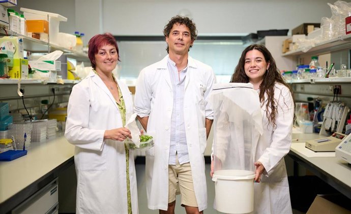 Archivo - De izq. A dcha.: Rosa Murillo Pérez, Iñigo Ruiz de Escudero Fuentemilla y Gemma Cárcamo Ochoa, en uno de los laboratorios del Instituto IMAB.