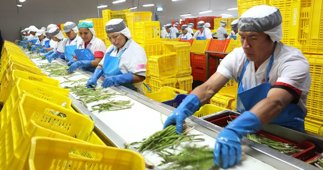economia