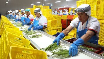 economia