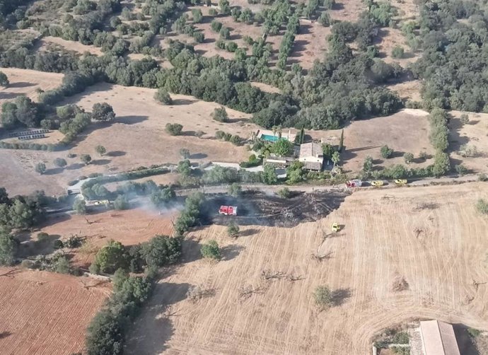Combaten un incendio agrícola en Llubí (Mallorca).