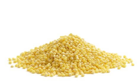 Nutrición