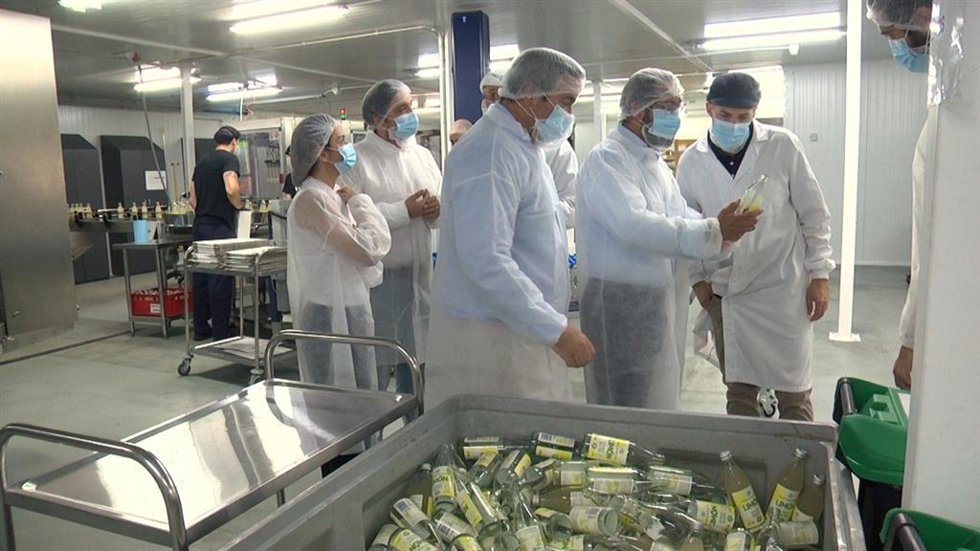 La empresa Víver Living Drinks ha obtenido una resolución de incentivos económicos regionales de 343.387 euros, procedentes del Estado, para la producción y comercialización de kombucha ecológica artesanal.