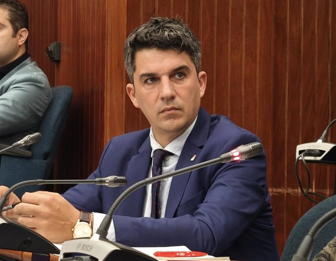 Archivo - El portavoz municipal del PSOE, Daniel Fernández