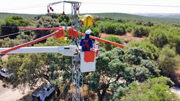Instalación de las soluciones para proteger a las aves en la red eléctrica.