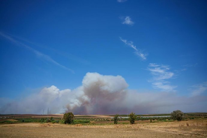 Incendio en Niebla.