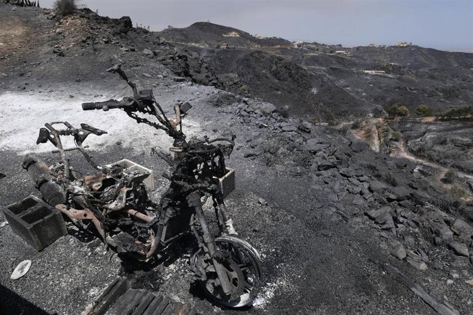 Terrenos calcinados por el incendio forestal, a 10 de julio de 2026, en Los Gallardos (Almería).
