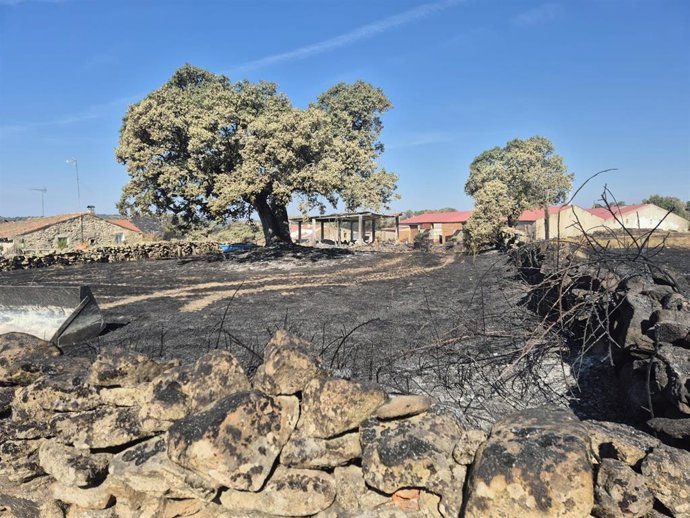 Imagen de una de las zonas afectadas por el incendio de Fermoselle, en la comarca zamoana de Sayago.