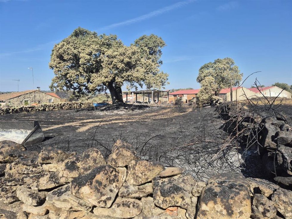 Imagen de una de las zonas afectadas por el incendio de Fermoselle, en la comarca zamoana de Sayago.