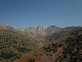 Foto: Un estudio revela que la sierra de Gredos podría ser la única sabana superviviente de Europa de hace 10.000 años